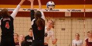 Volleyball action photo - Theresa Shideler