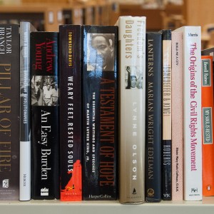 Some of the books Bruce and Joy Rogers donated to Mary Miller Library.