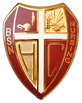 Hesston College BSN nursing pin