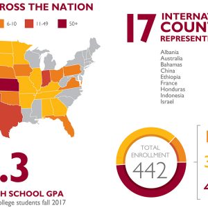Enrollment statistics graphic