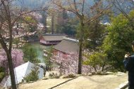 Miyajima - Hiroshima