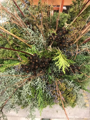 Floral arrangement made with native plants from the Dyck Arboretum.