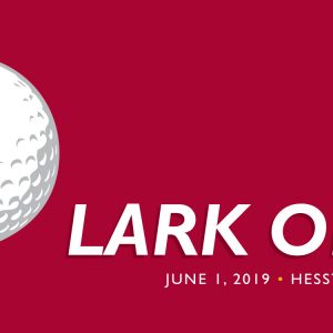 Lark Open