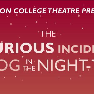 Fall 2019 play "The Curious Incident of the Dog in the Night-time"