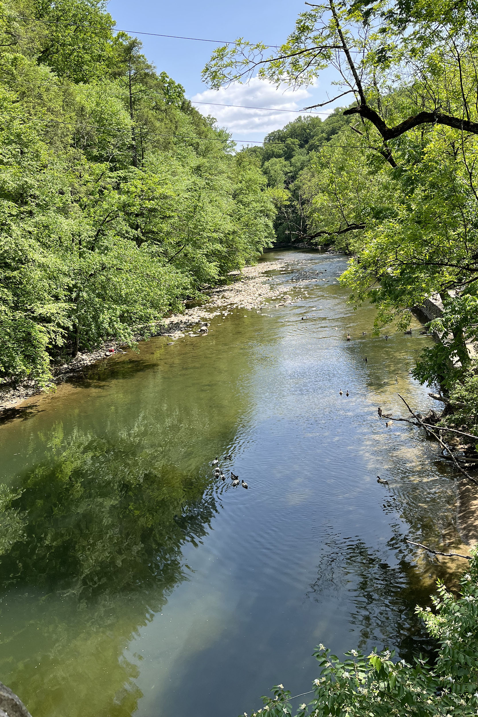 photo - The Wissahickon River