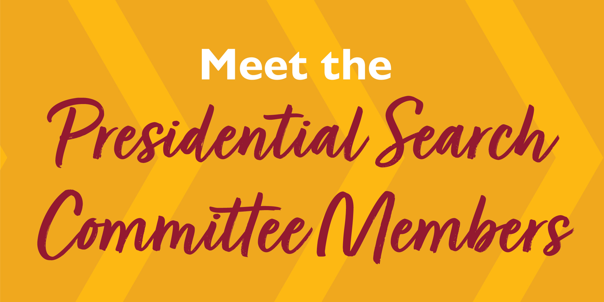 Meet the presidential search committee members