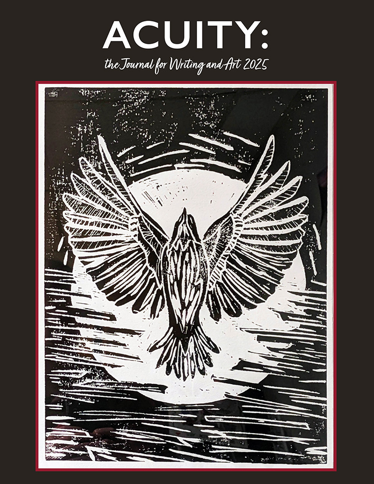 Cover art for the 2025 edition of Acuity